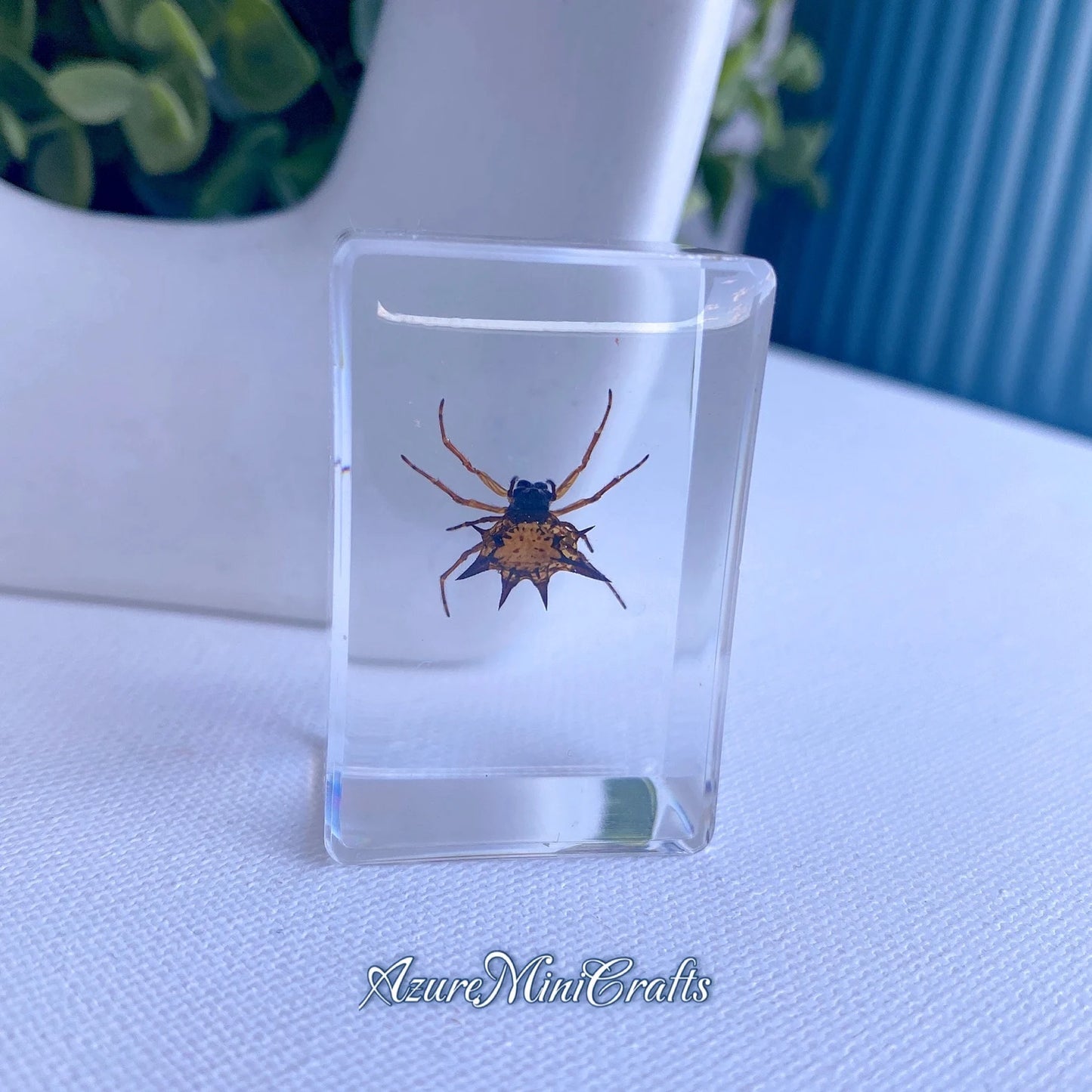 Real Arthropod Insect Specimen Embedded in Clear Resin