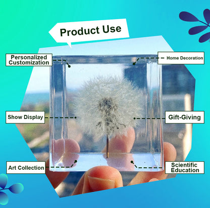 Real Handpicked Dandelion Resin Cube 🌼 Paperweight Christmas Gift