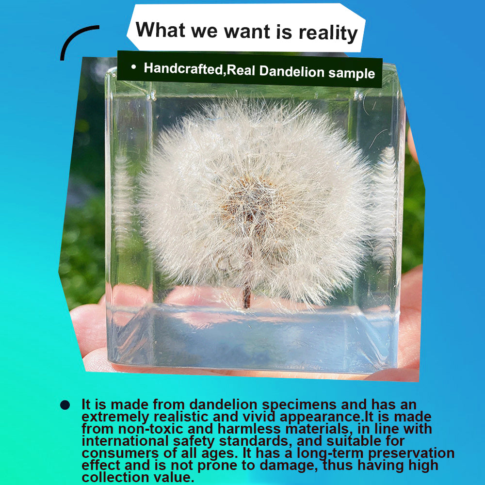 Real Handpicked Dandelion Resin Cube 🌼 Paperweight Christmas Gift