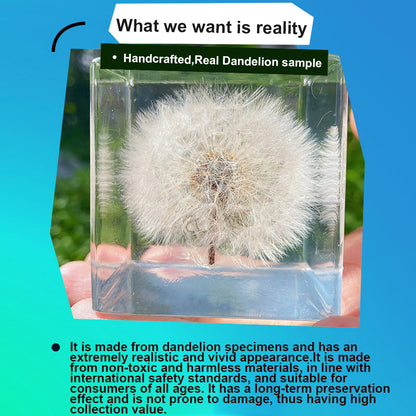 Real Handpicked Dandelion Resin Cube 🌼 Paperweight Christmas Gift