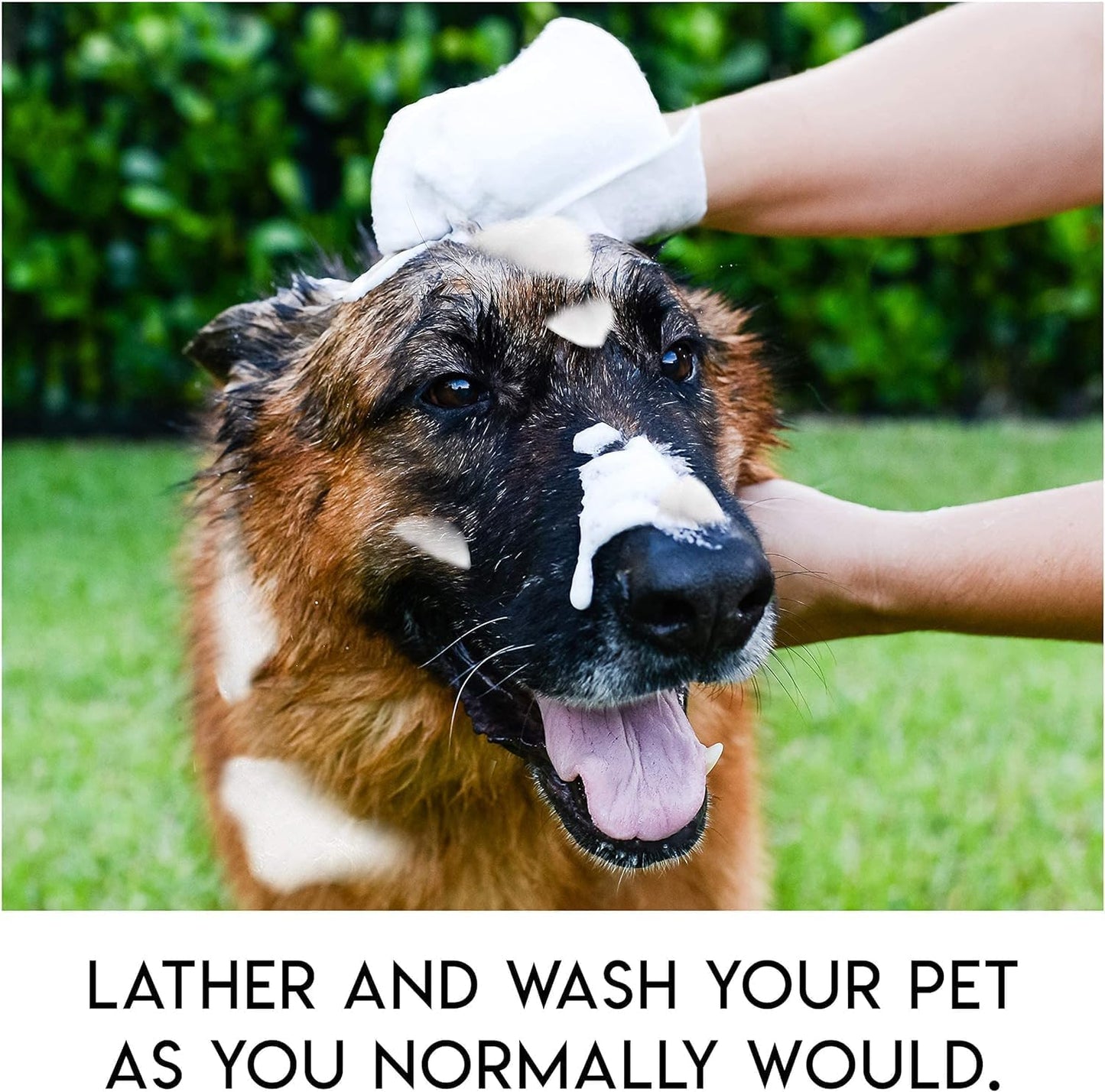 Rinse Free Shampoo Mittens for Pets