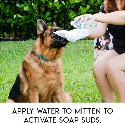 Rinse Free Shampoo Mittens for Pets