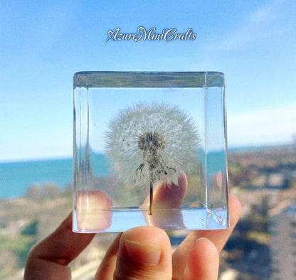 Real Handpicked Dandelion Resin Cube 🌼 Paperweight Christmas Gift