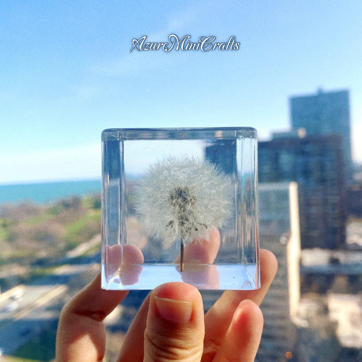 Real Handpicked Dandelion Resin Cube 🌼 Paperweight Christmas Gift