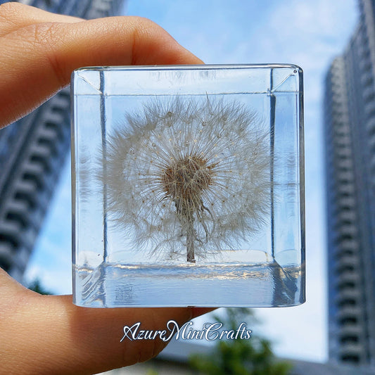 Real Handpicked Dandelion Resin Cube 🌼 Paperweight Christmas Gift