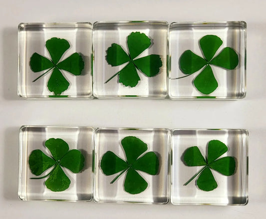 Genuine Preserved Four Leaf Clover Good Luck Charm
