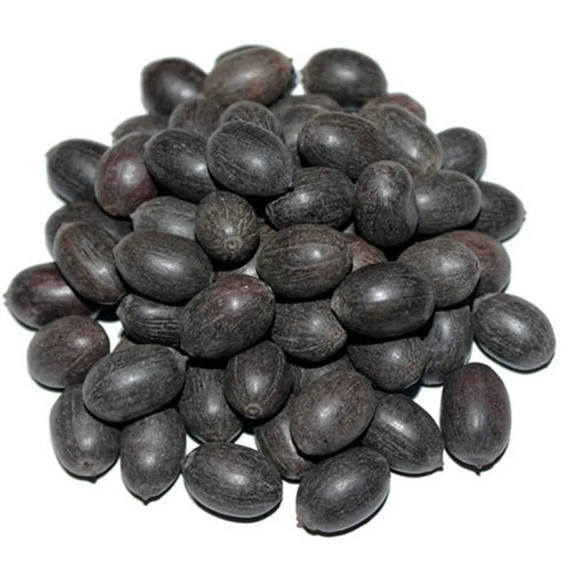 💥49% OFF– Today Only!💥 Bonsai Bowl Lotus Grow Pack🌸