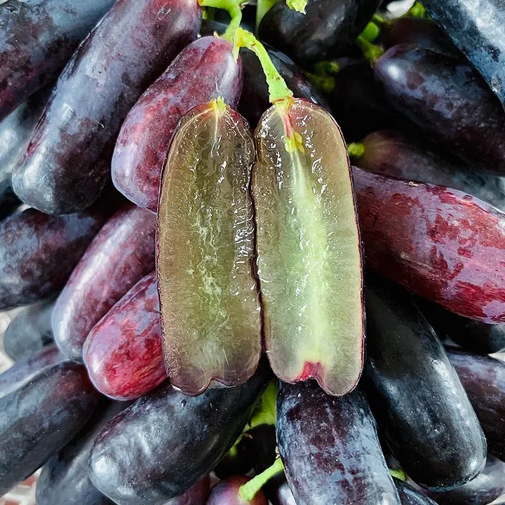 💥Last day 50% OFF💥Sweet Sapphire Grape Grow Pack🍇