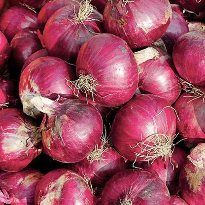 💥Last day 33% OFF💥Ruby Red Onion Grow Pack