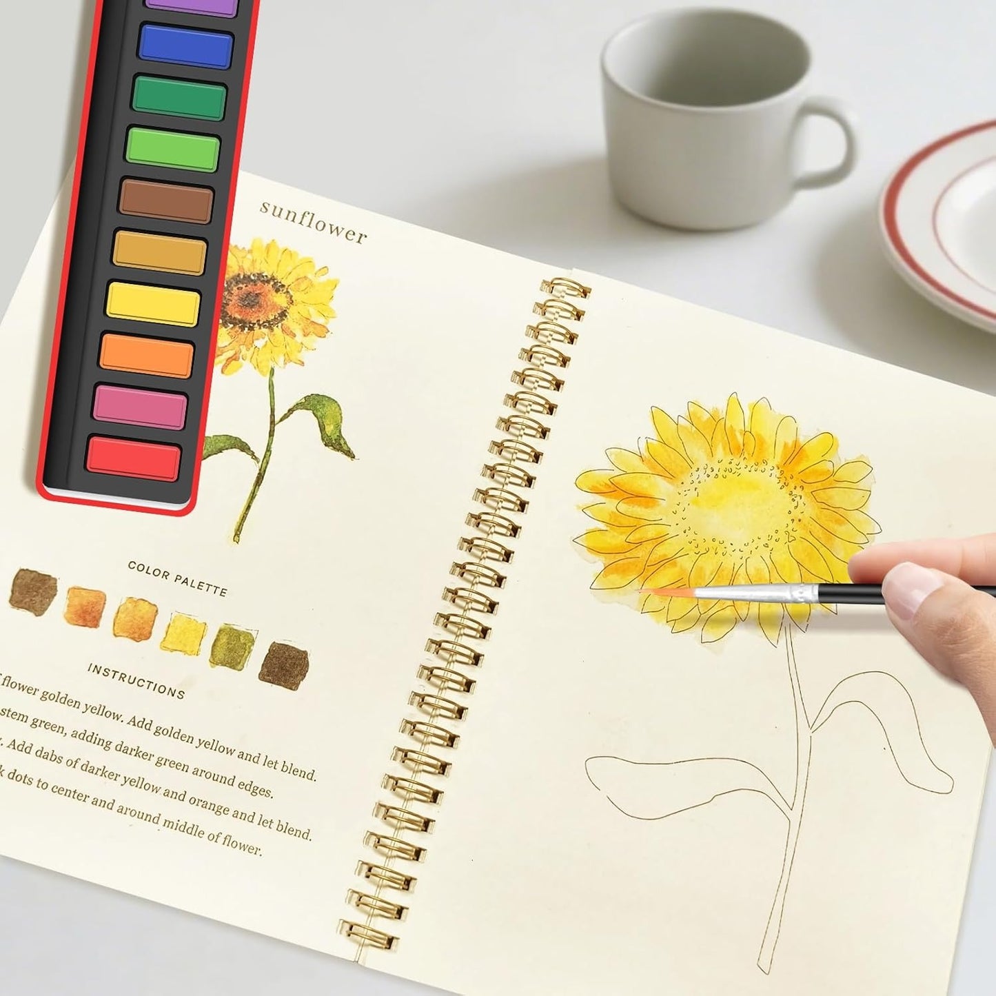 Watercolor coloring book